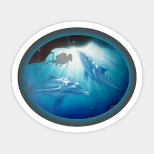 Scuba diving t-shirt designs dolphins Sticker